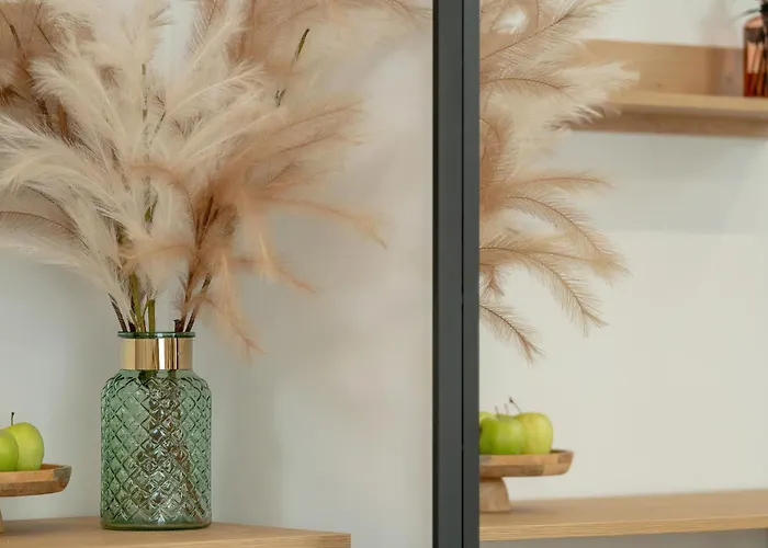 Latte - Centrum Plac Wolnosci 6 - Kramm Apartman Poznań