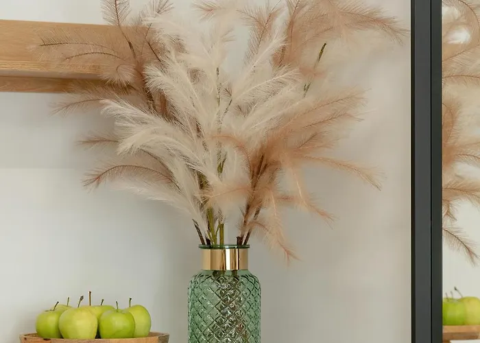 Latte - Centrum Plac Wolnosci 6 - Kramm Apartman *